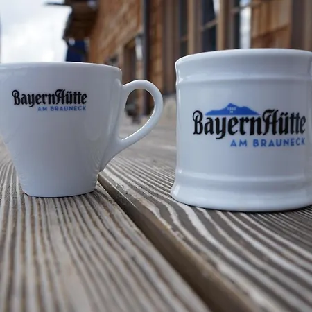 Hotel Naturhotel & Bayernhuette Am Brauneck